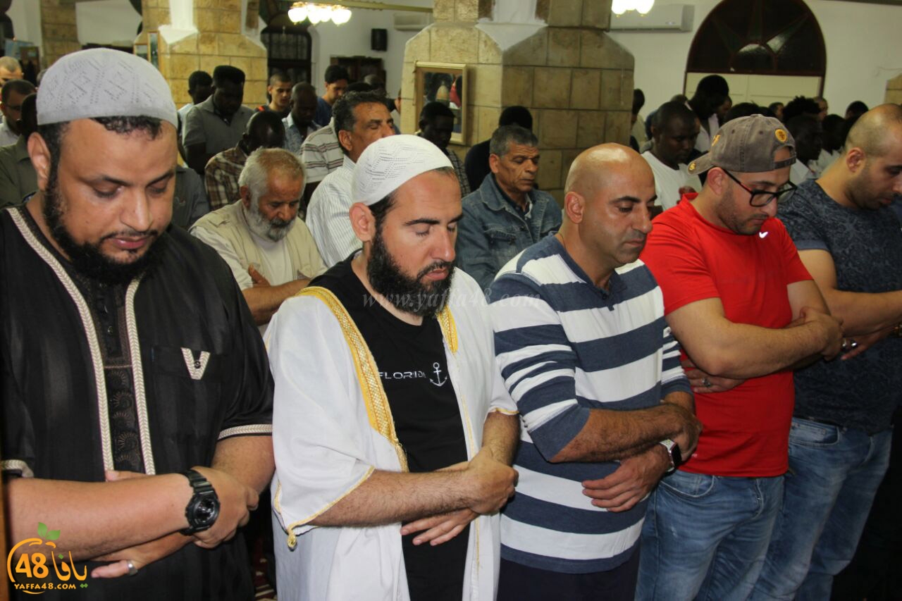 trawe7 salahsaj (28).jpg